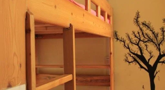 Urumqi White Birch International Hostel, Book Hostel Hostels in Urumqi, Hostel