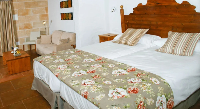 Двухместный полулюкс Hotel Rural Binigaus Vell