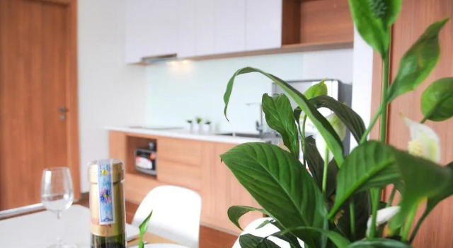 Люкс с 2 комнатами SAIGON GARDEN HILL Resort & Apartment