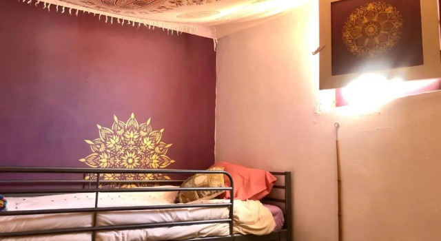 Номер Standard Buddha Bee - Female Hostel