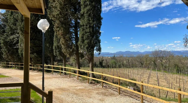 Agricampeggio Le Bucoliche