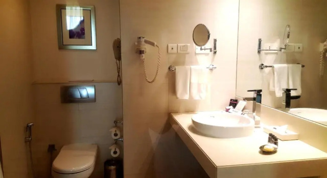 Номер Standard Royal Orchid Central, Pune