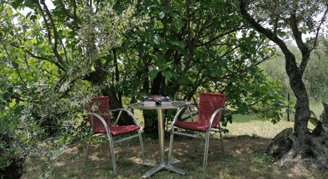 Коттедж Jolie individuelle wifi climatisée au cœur de la Provence à 40 km Verdon et de Ste Maxime