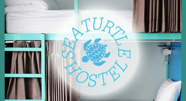 Кровать в общем номере Sea Turtle Hostel - Adults Only