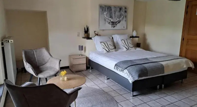 Трёхместный номер Standard Hotel-au-central