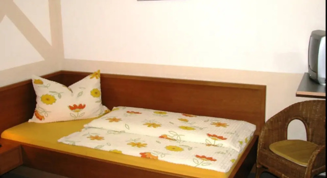 Номер Standard Hotel Erzhausener Hof
