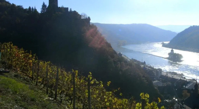 Weingut Am Löwenkopf, Boek Hotel Kaub Rhine route