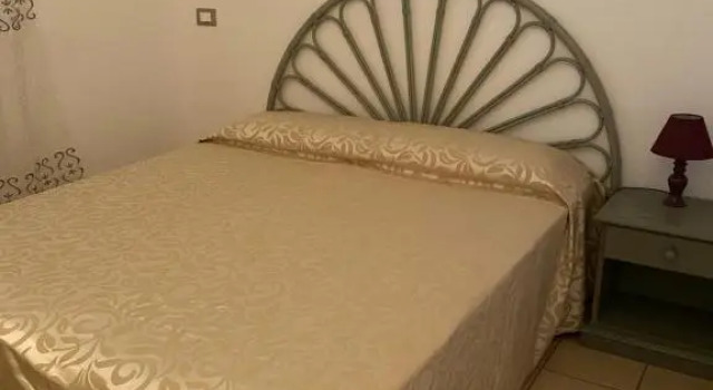 Номер Standard Binario1