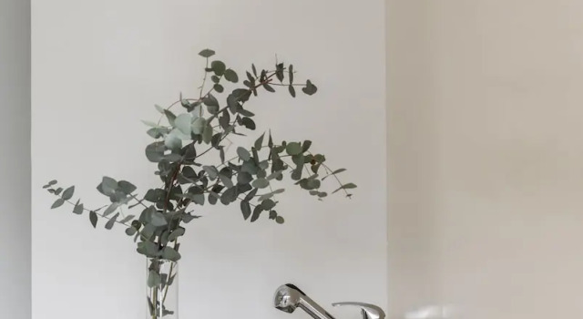 Студия DOMA Studios