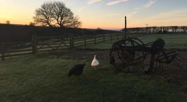 Номер Standard Folly Hall Farm