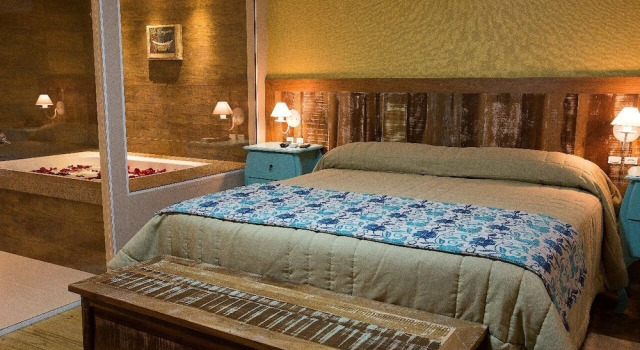 Номер Deluxe Boqueirão Hotel Fazenda