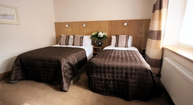 Трёхместный номер Standard Blooms Hotel