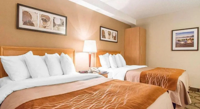 Четырёхместный номер Deluxe Цокольный этаж Comfort Inn