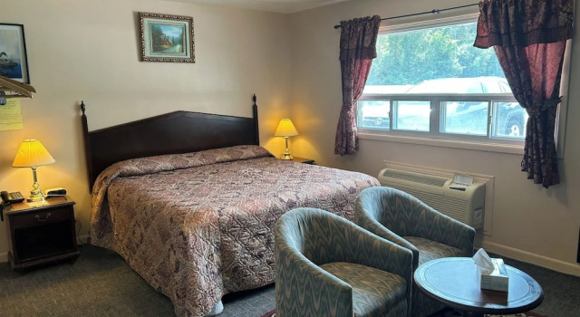 Двухместный номер Standard The Silver Birch Motel