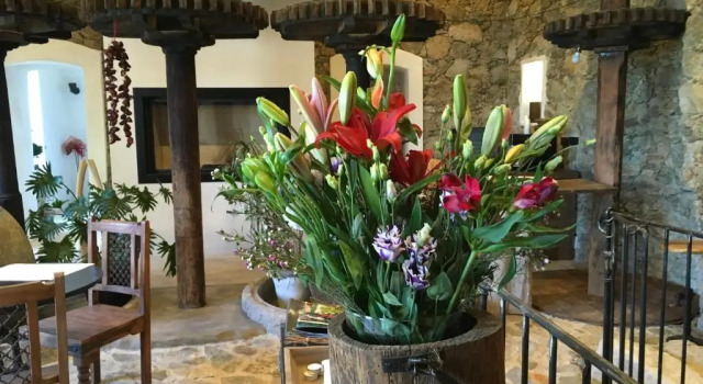 Chambres d'hôtes - Mulino nannaré, Varaa Hotelli Ville-di-Paraso Korsika