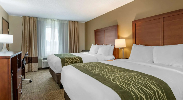Четырёхместный номер Standard Comfort Inn & Suites Dimondale - Lansing