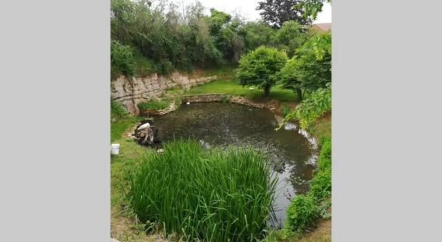 Studio Au Bord de L'etang, 예약 아파트 레브 Cote du Maconnais-Beaujolais