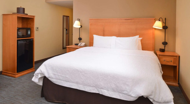 Двухместный номер Standard Hampton Inn & Suites Tampa East Casino Area