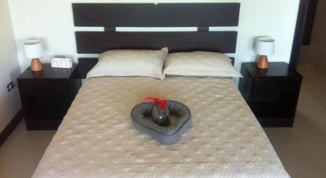 Hotel Provincial, Book Hotel Aguas Zarcas 
