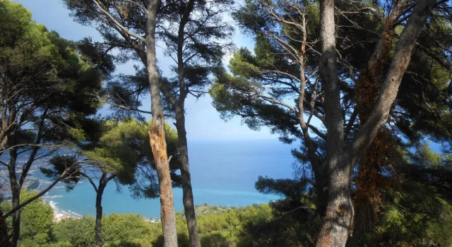 Коттедж Torre Alpicella - Essenza di Riviera Holiday Home