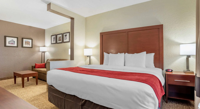 Двухместный люкс Comfort Inn & Suites Marianna I-10