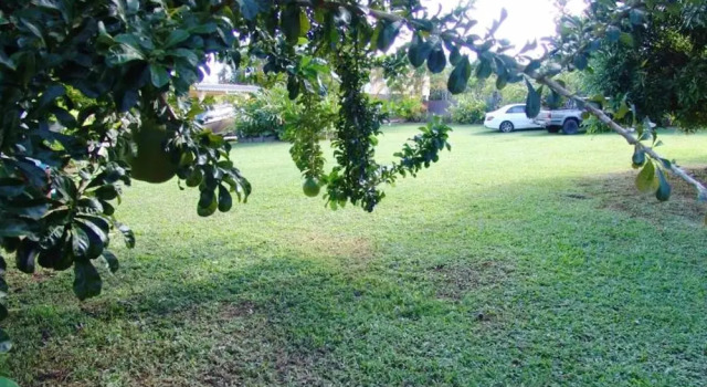 Apartment With one Bedroom in Goyave, With Wonderful Mountain View, Enclosed Garden and Wifi - 2 km From the Beach
