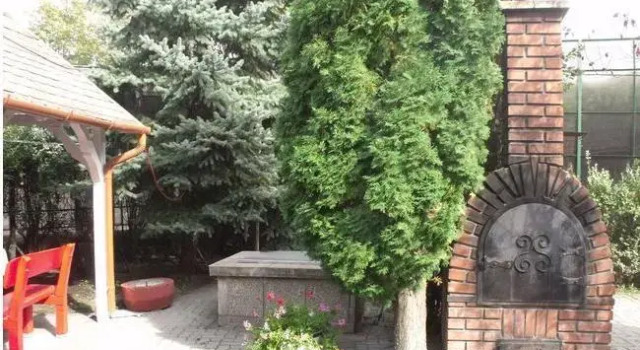 Levendula Panzio, Prenota Hotel Szentendre 