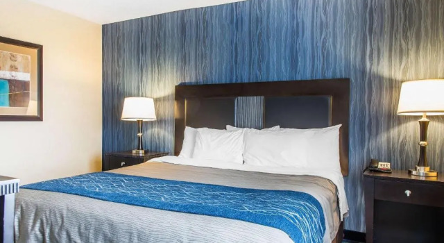 Люкс Comfort Inn & Suites Meriden East