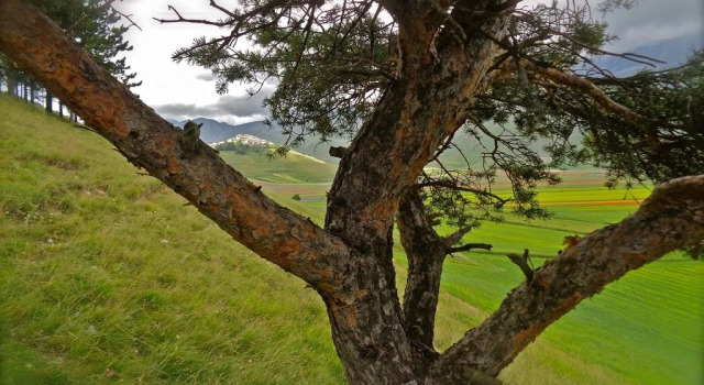 Agriturismo la Valle delle Aquile, Varaa Hotelli  
