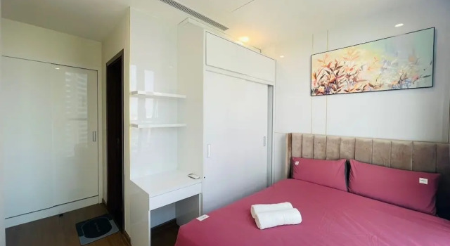 Vinhomes Skylake Apartment City View