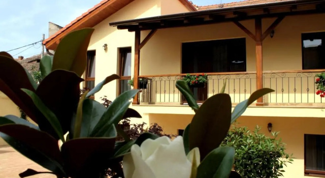 Номер Standard Rosen Villa Sibiu
