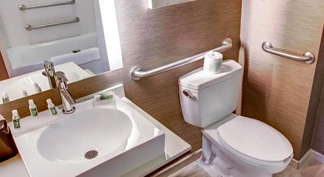 Двухместный номер Standard Cambria Hotel Plano - Frisco
