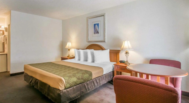 Номер Standard Econo Lodge Airport - RJ Stadium
