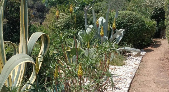 Villa Le Clos Fleuri, Réserver Hôtel Narbonne Aude