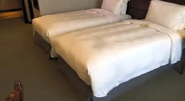 Номер Superior Royal Seasons Hotel Taichung Zhongkang
