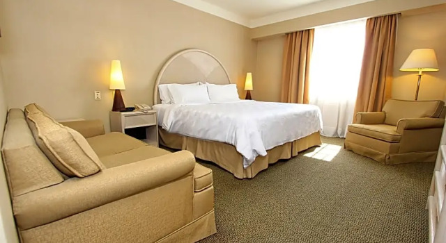 Номер Premium Holiday Inn Leon - Poliforum by IHG