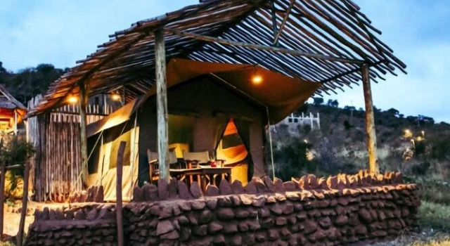 Cheetah Tented Camp
