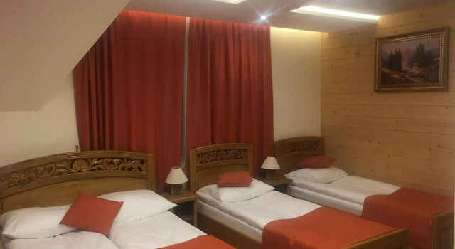 Pokoje U ŚLIWIOKA, Book Hotel Banska Nizna Tatras