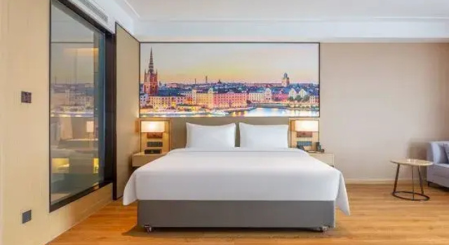 Люкс Deluxe Vienna International Hotel (Tumushuk International Plaza Branch)