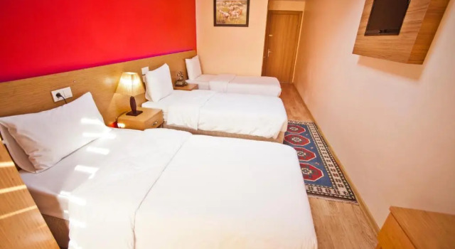Трёхместный номер Standard Avcilar Vizyon Hotel