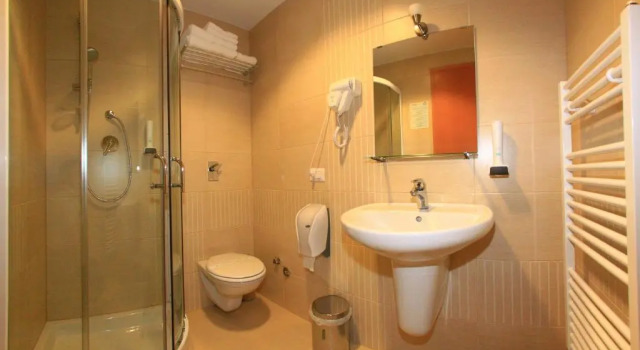 Двухместный номер Standard Hotel Roman Maramures - Ski & Spa Resort