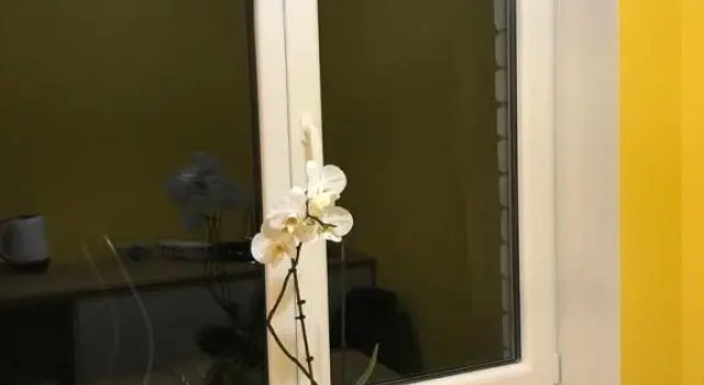 Brīvāres, Rezervați Hostel Zvejniekciems Riga