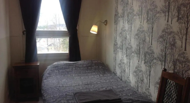 Номер Classic Gasthaus Villa Svensk