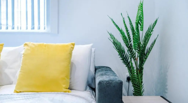 Studio Two, Clarendon Apartments