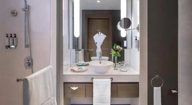 Полулюкс с доступом в лаунж Park Rotana Abu Dhabi