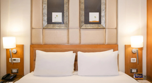 Клубный номер Standard Park Plaza, Ludhiana