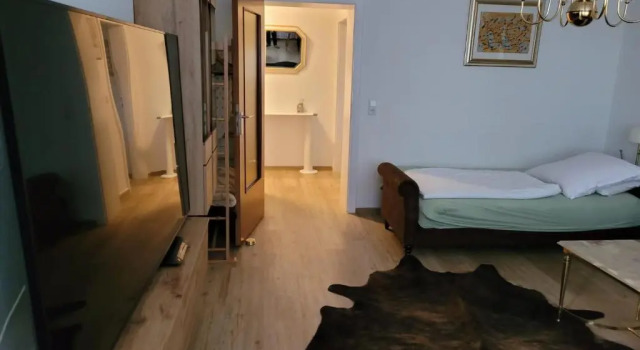 4. 5 min to HANNOVER MESSE FAIR GROUND PRETTY 2 ROOM APARTMENT