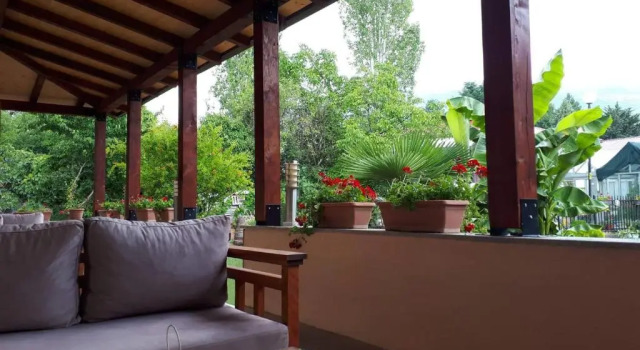 Студия Celus Apartments Ohrid