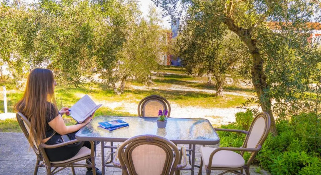 Семейный номер Standard Palatino Hotel