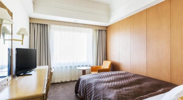 Одноместный номер Standard Hotel Nikko Northland Obihiro
